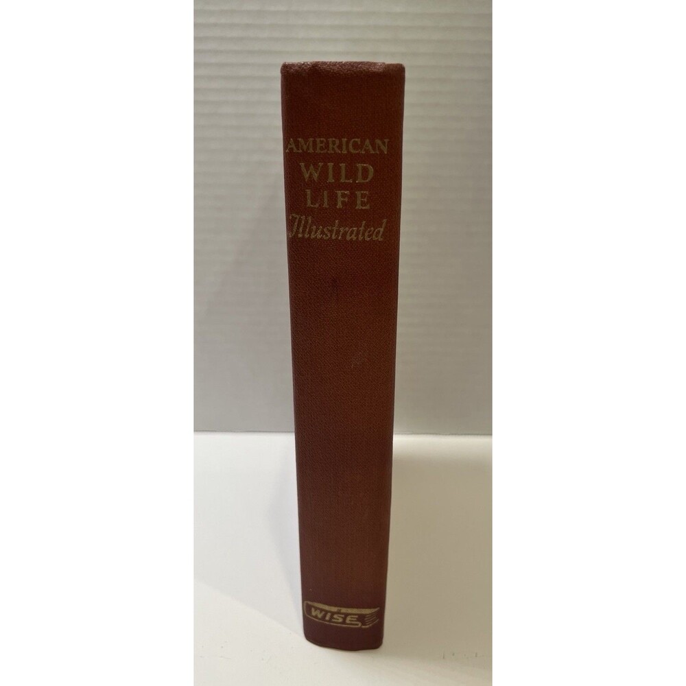 American Wild Life Illustrated, 1954, Wise Publishing City of New York Copyright